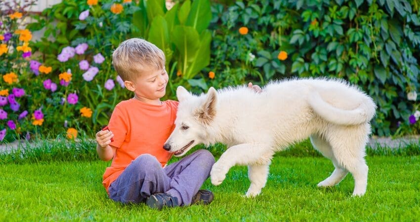 Kid and Dog on Lawn