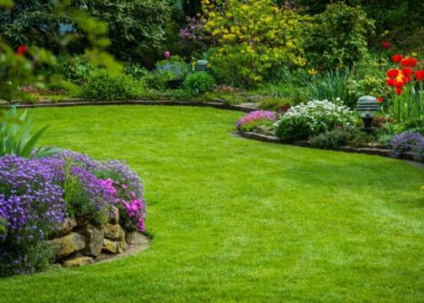 Lawn & Garden